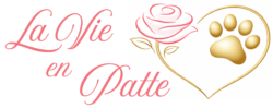 la vie en patte (2)