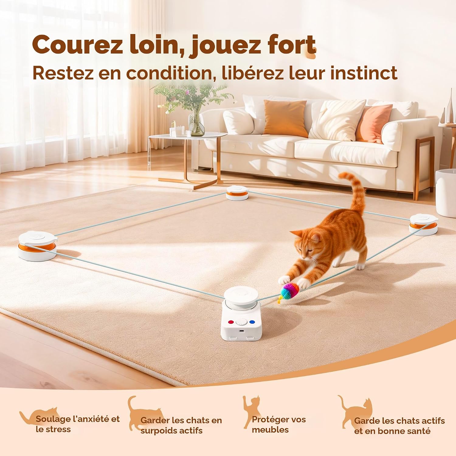 jeu interactif pour chat