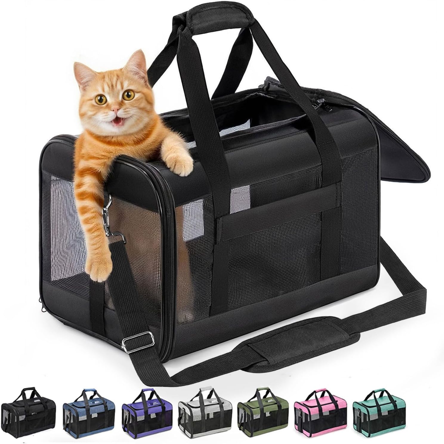 sac de transport en avion pour chat