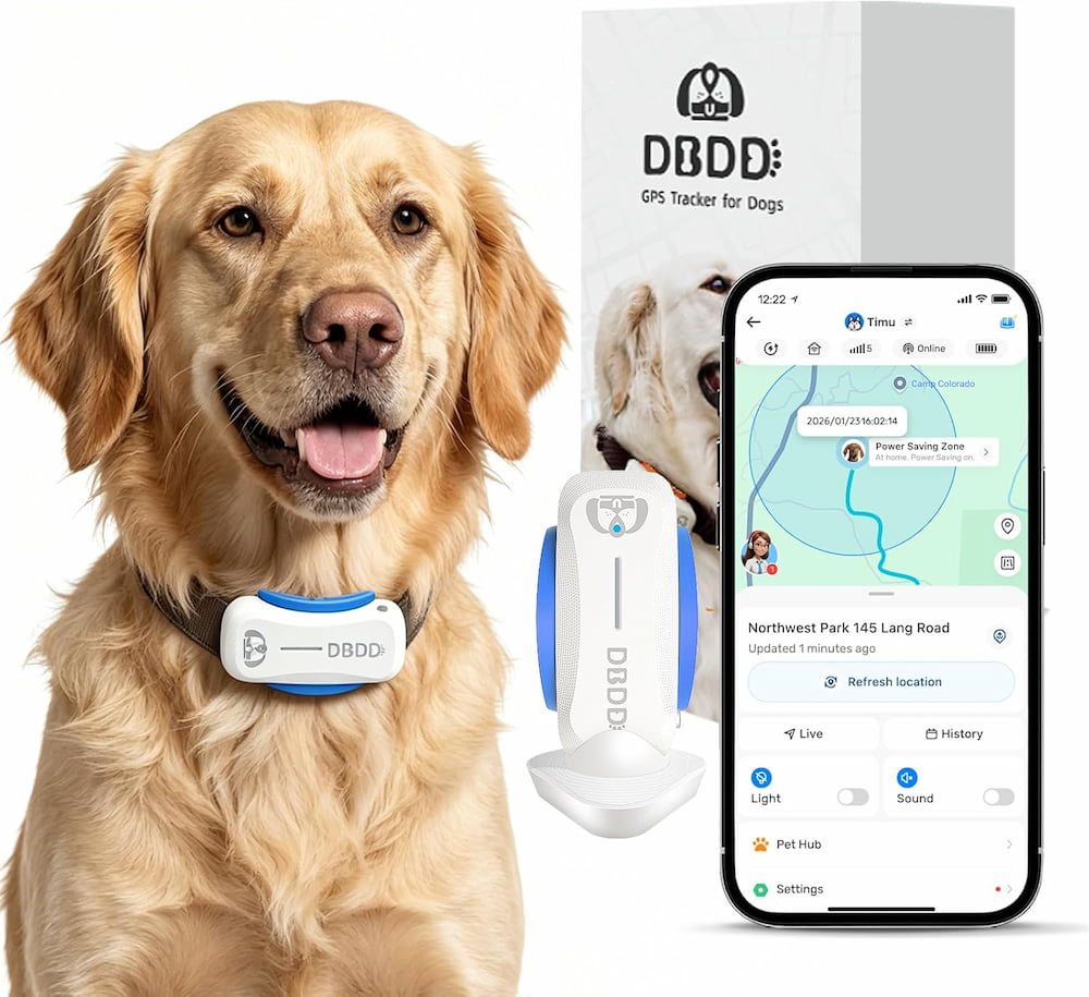 gps chien pas cher