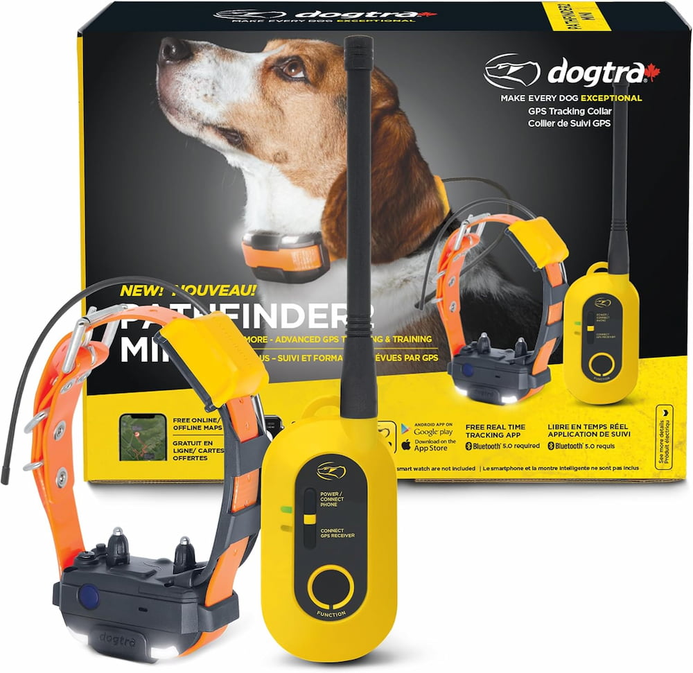 Meilleur gps chien