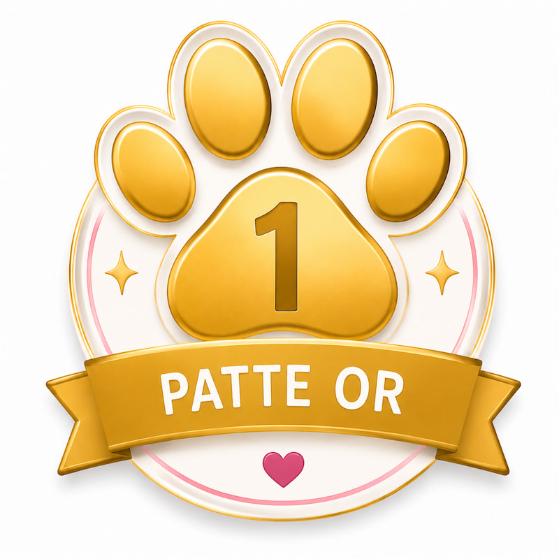 meilleur gps pour chien