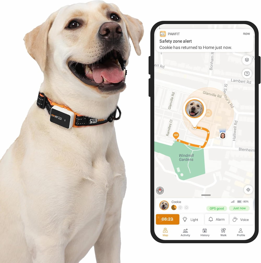 Pawfit GPS pour chien