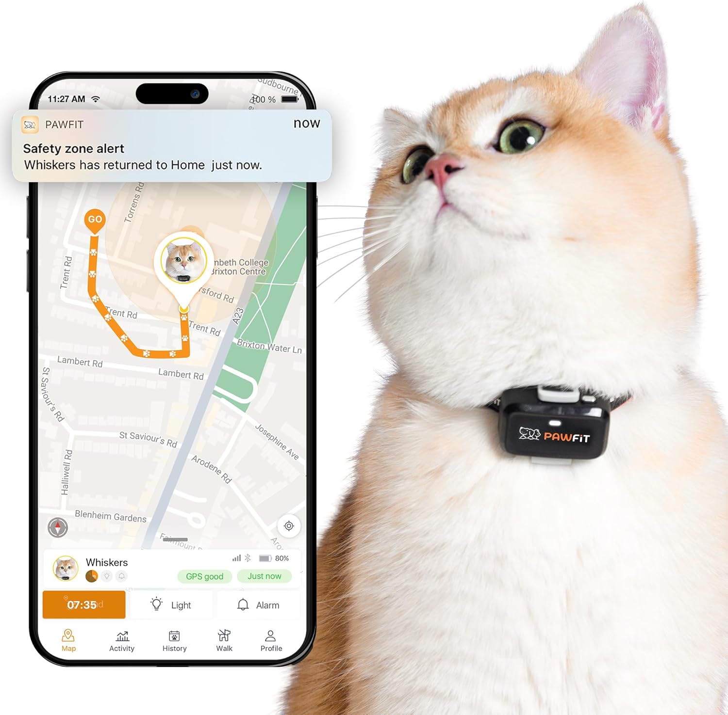 Pawfit gps pour chat