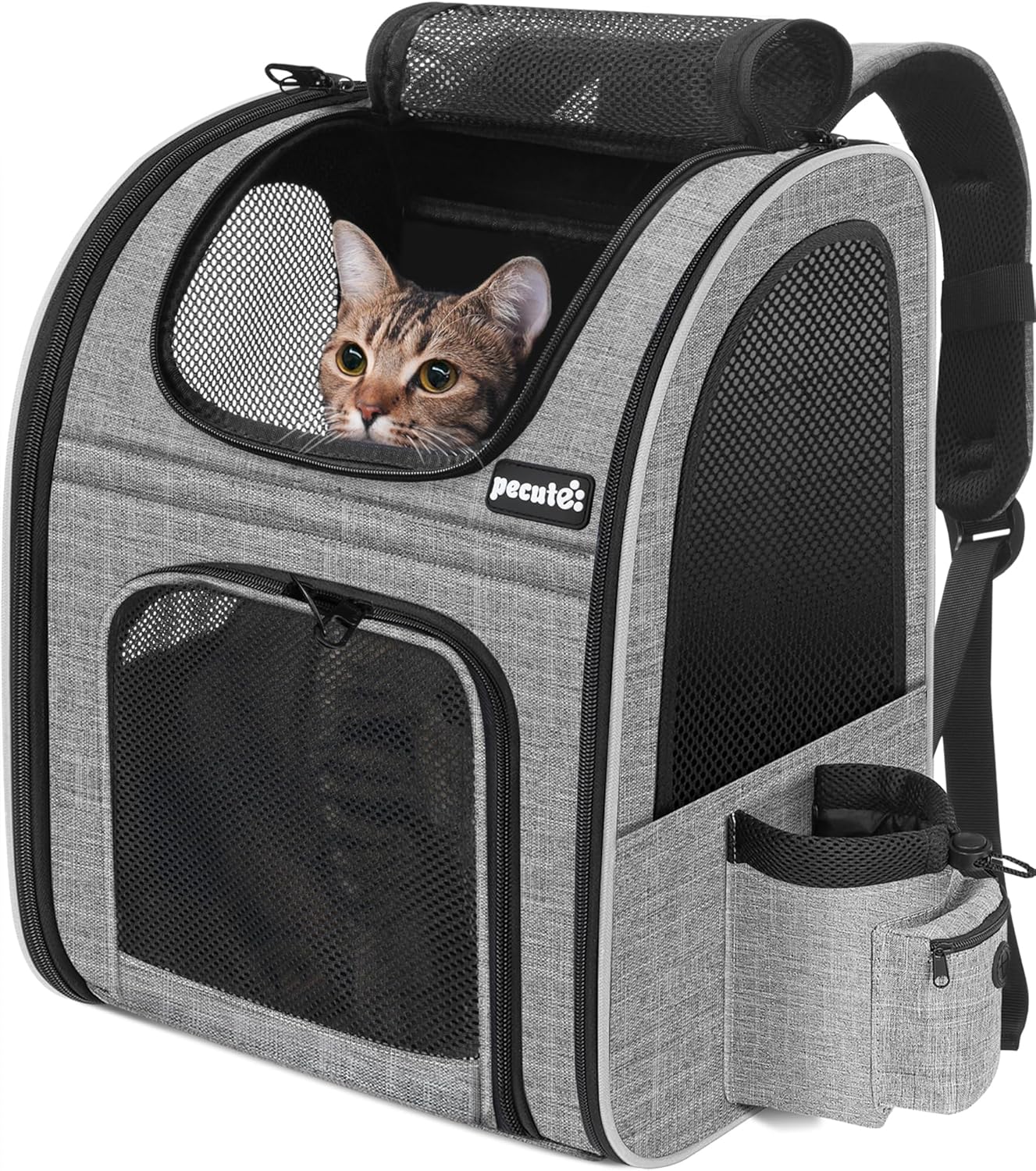 sac à dos pour chat