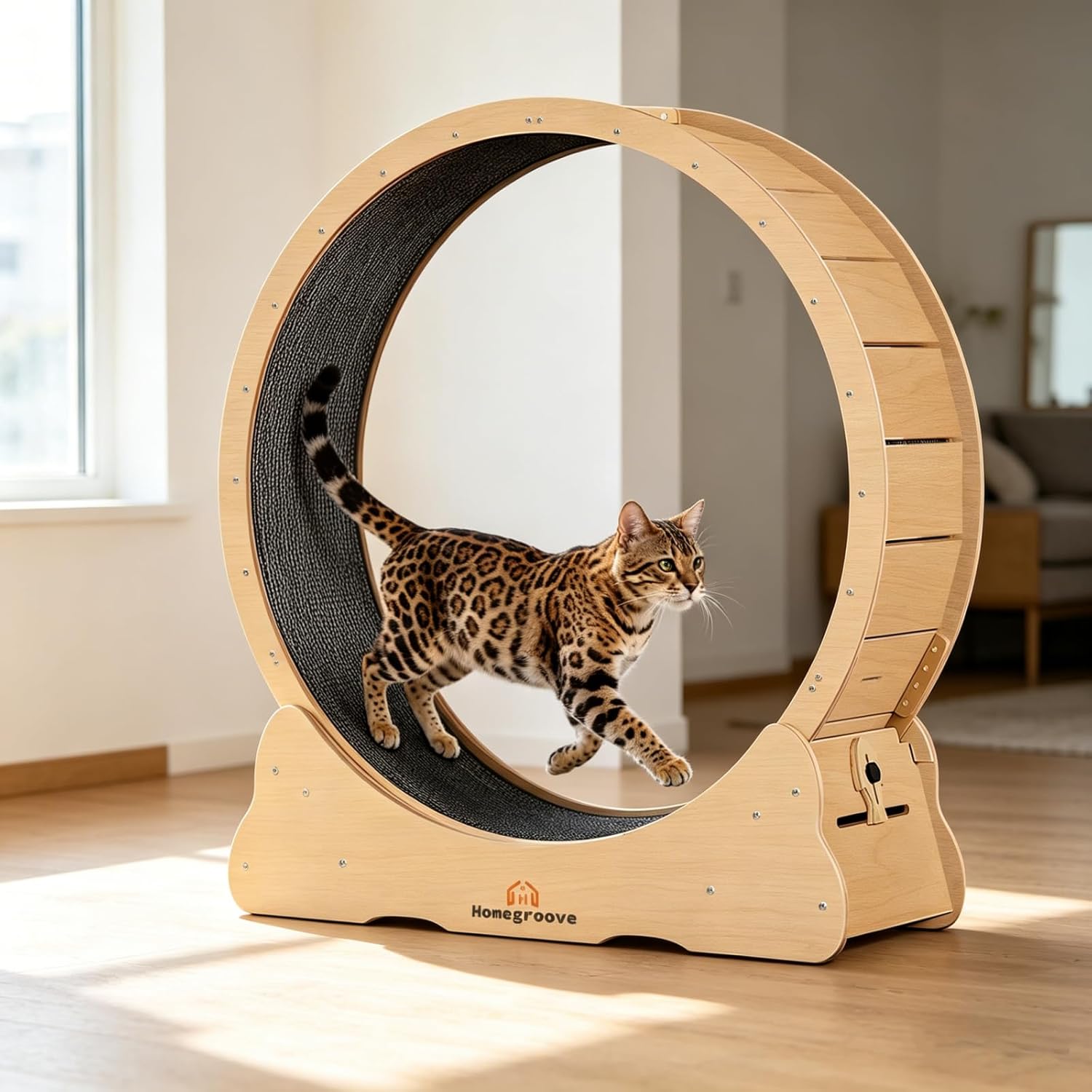 roue pour chat