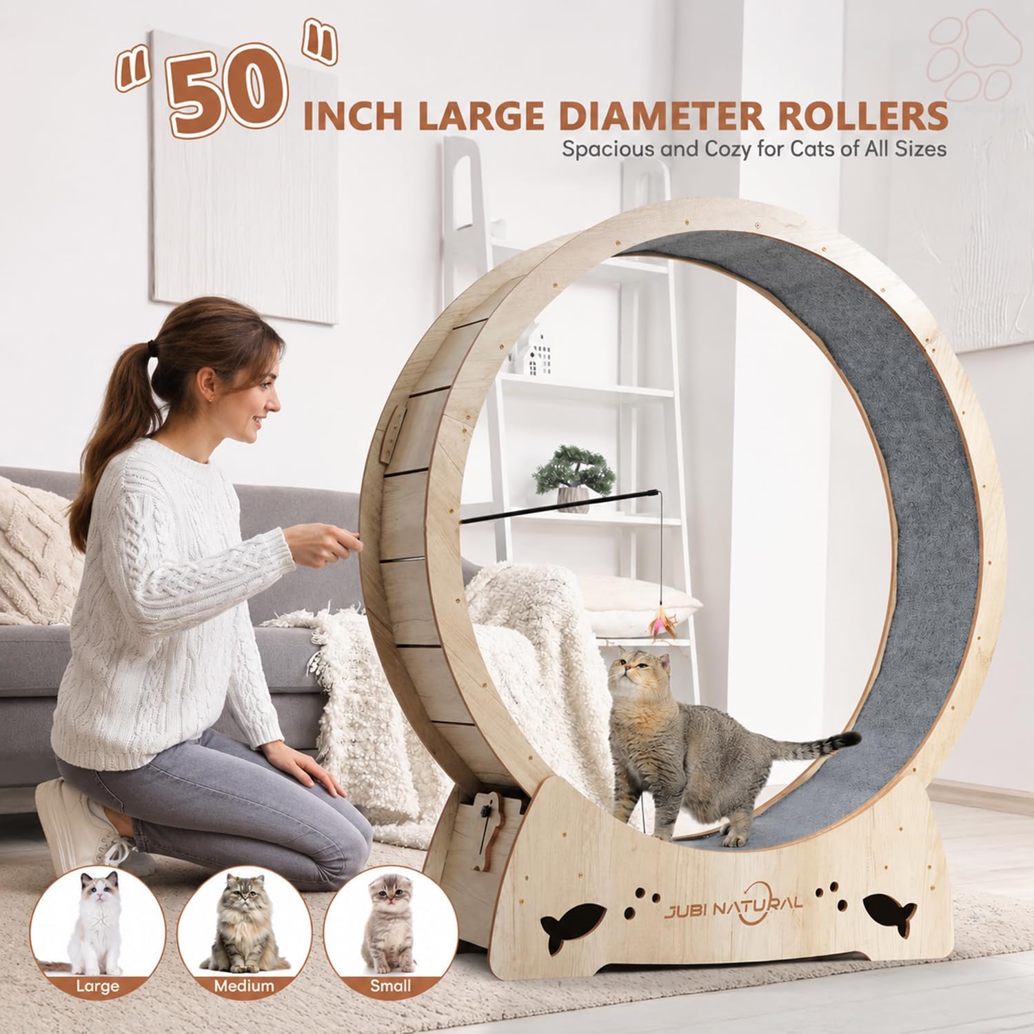 Roue exercice chat - JubiNatural