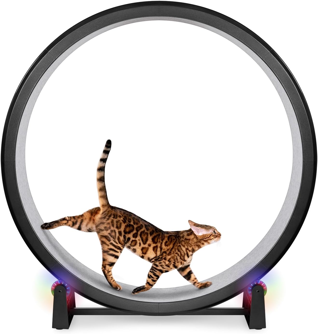 Roue pour chat