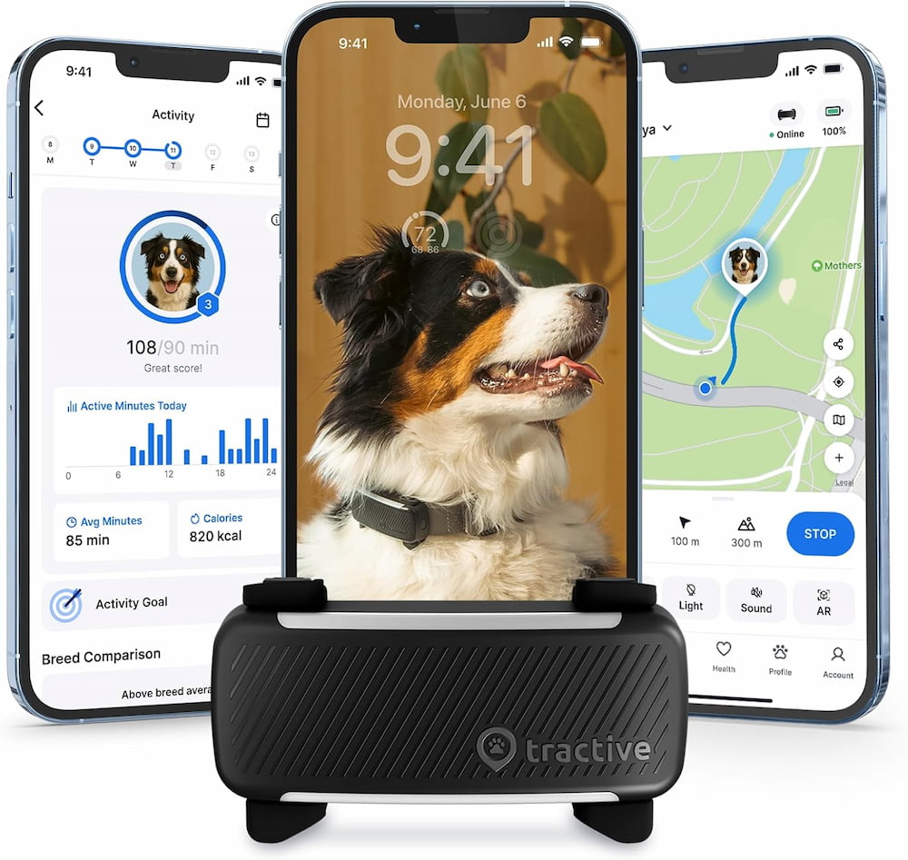 GPS pour chien