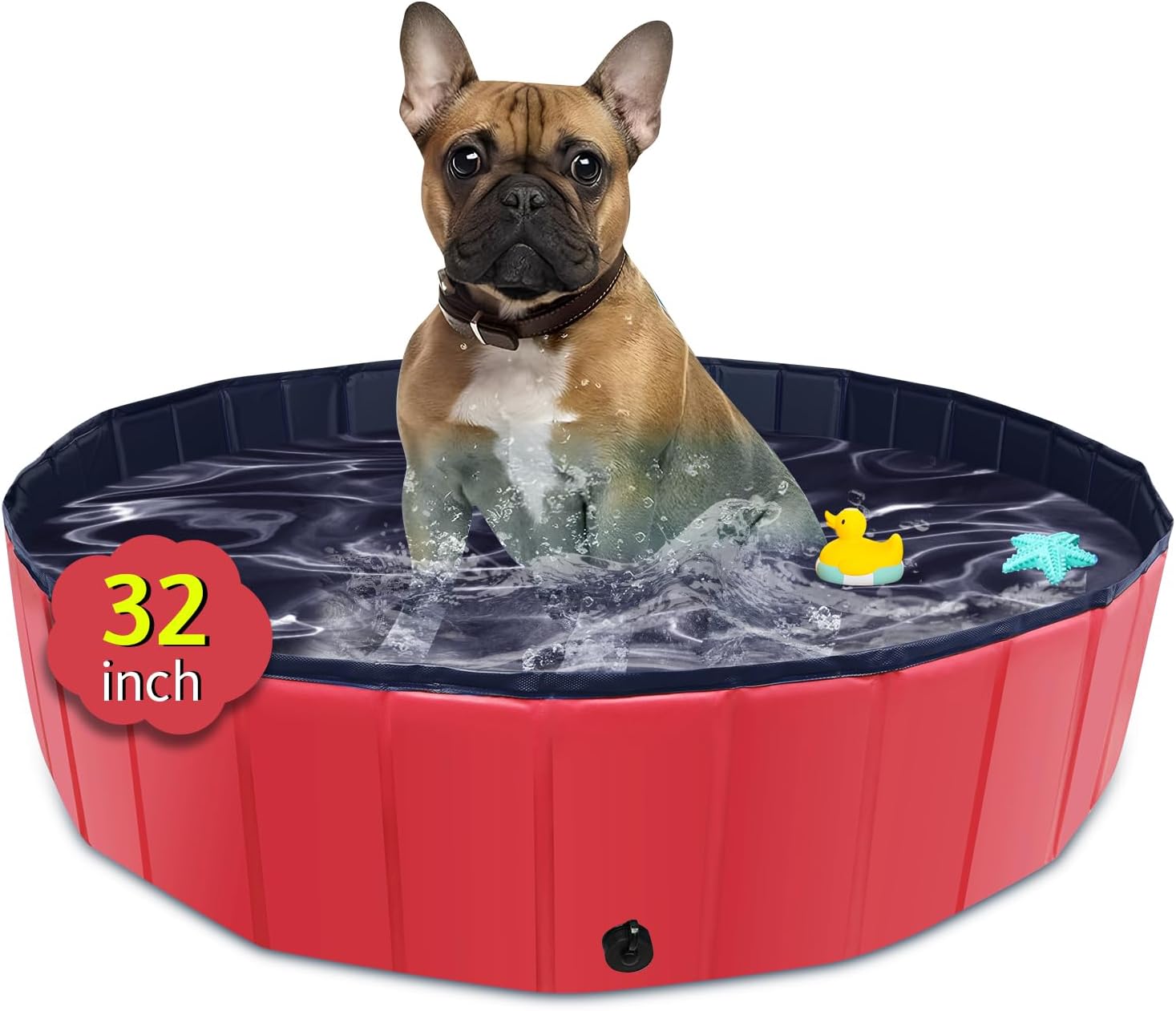 Piscine pas cher
