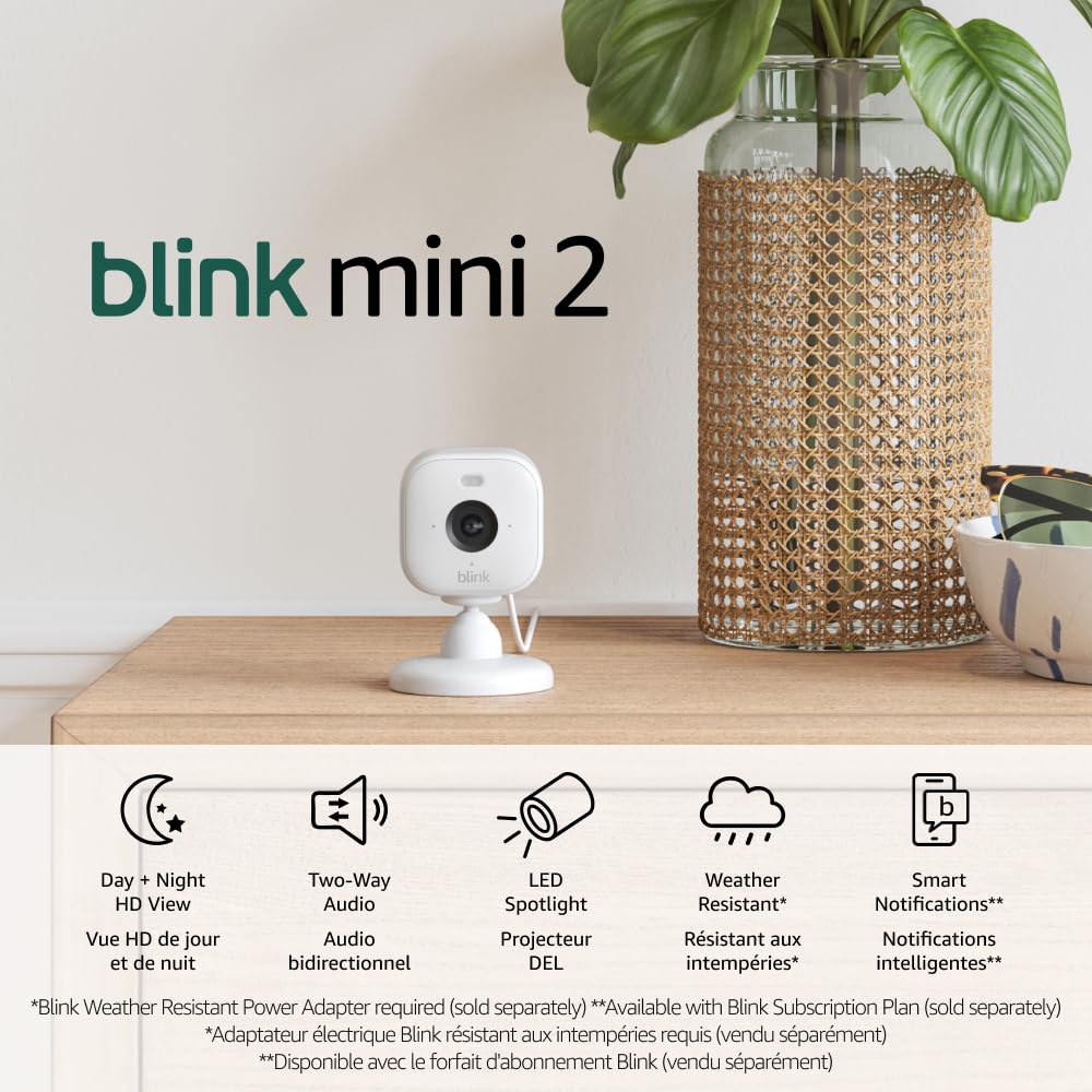 Blink mini 2