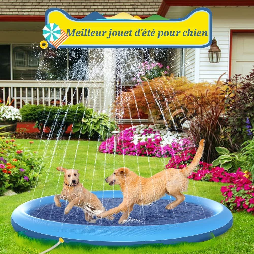 Tapis arrosage chien