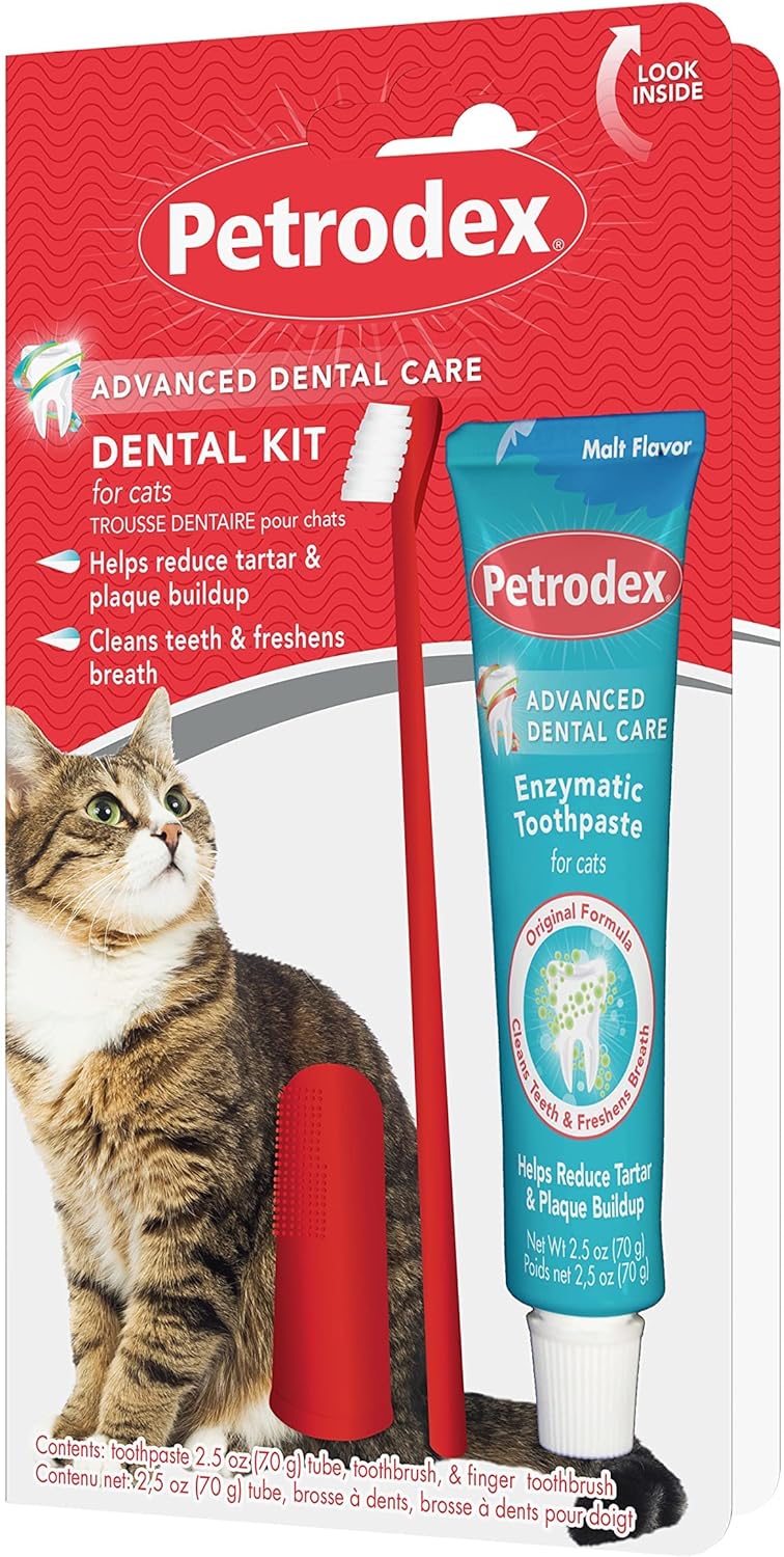 Kit dentaire pour chat