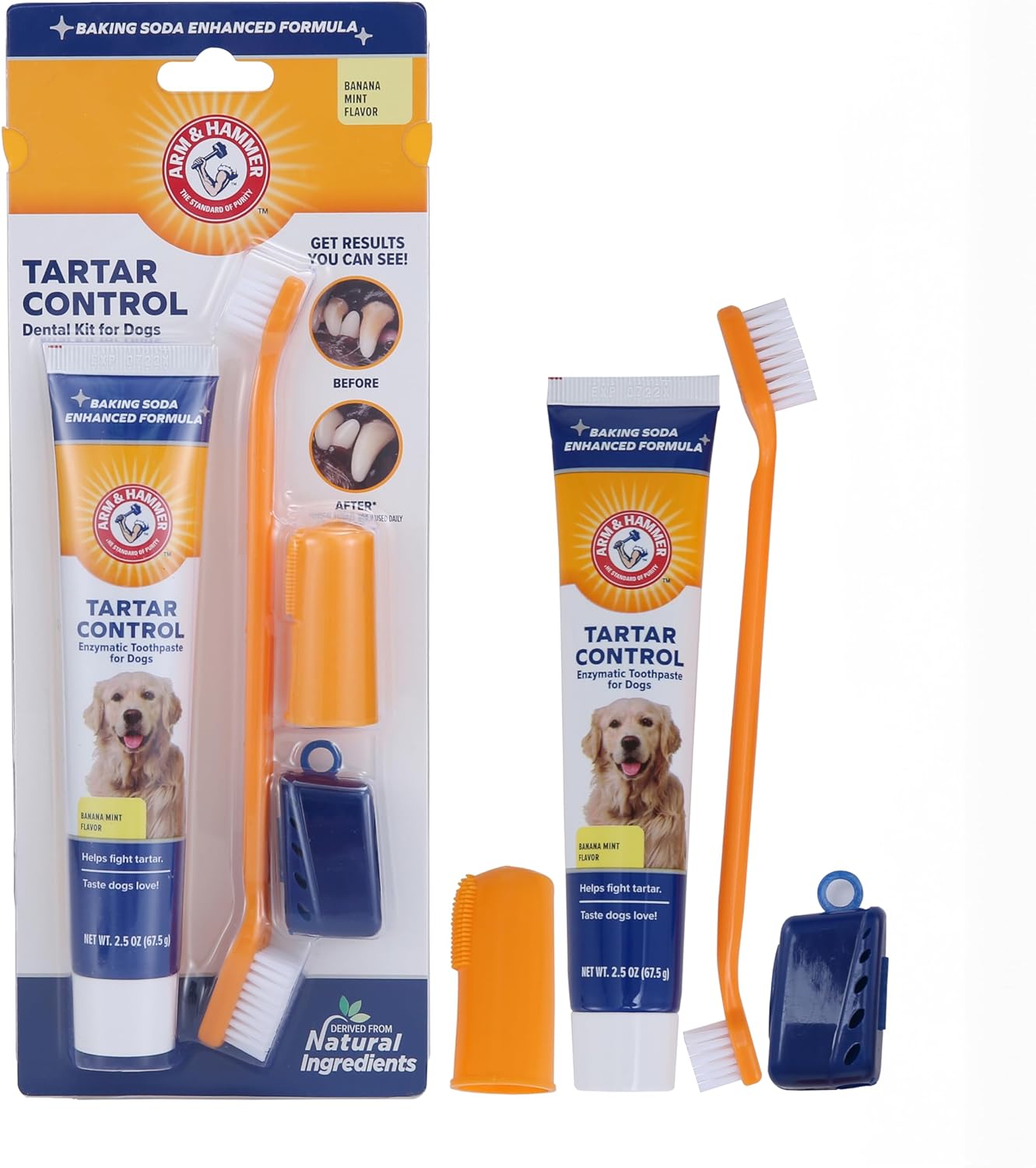 Kit dentaire pour chien