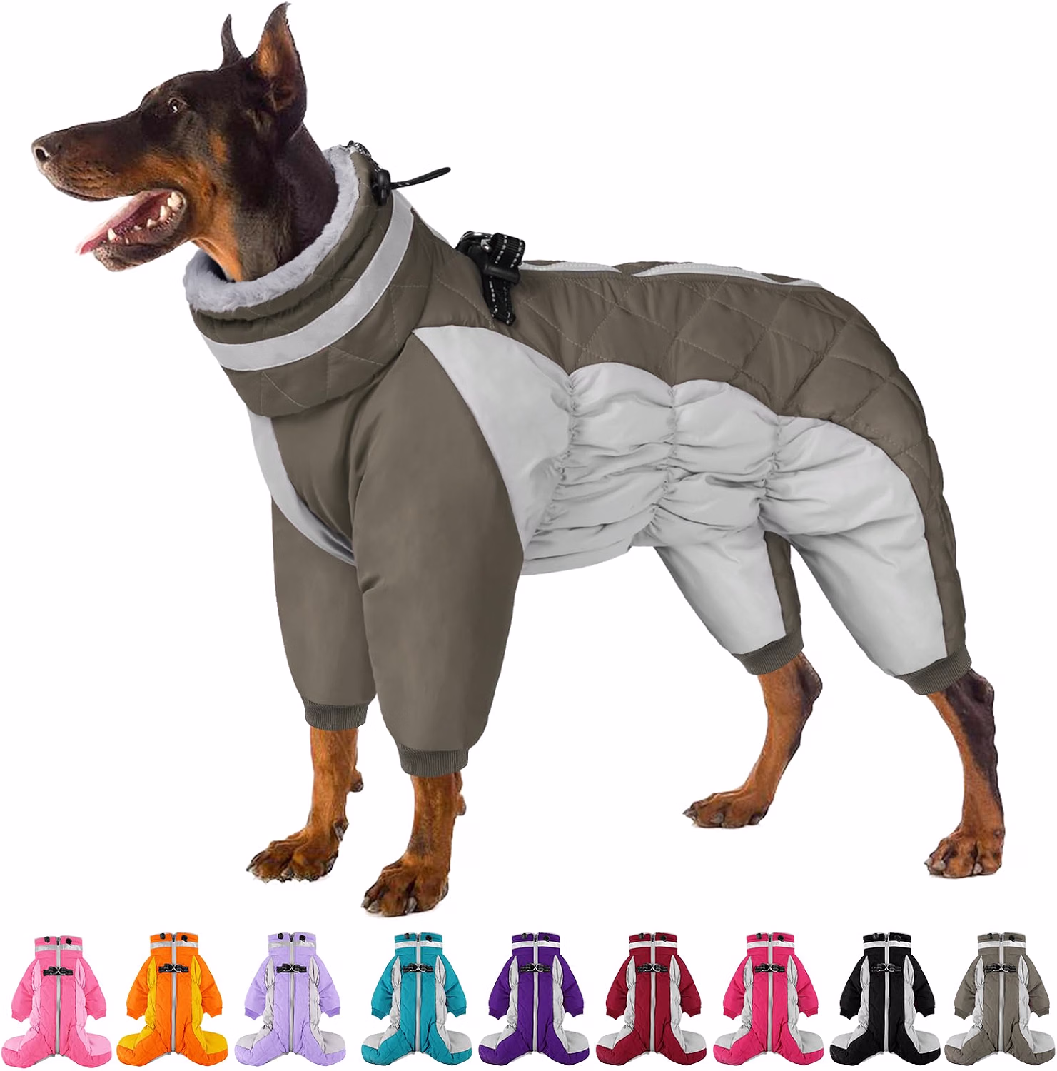 Manteau chien quatre pattes
