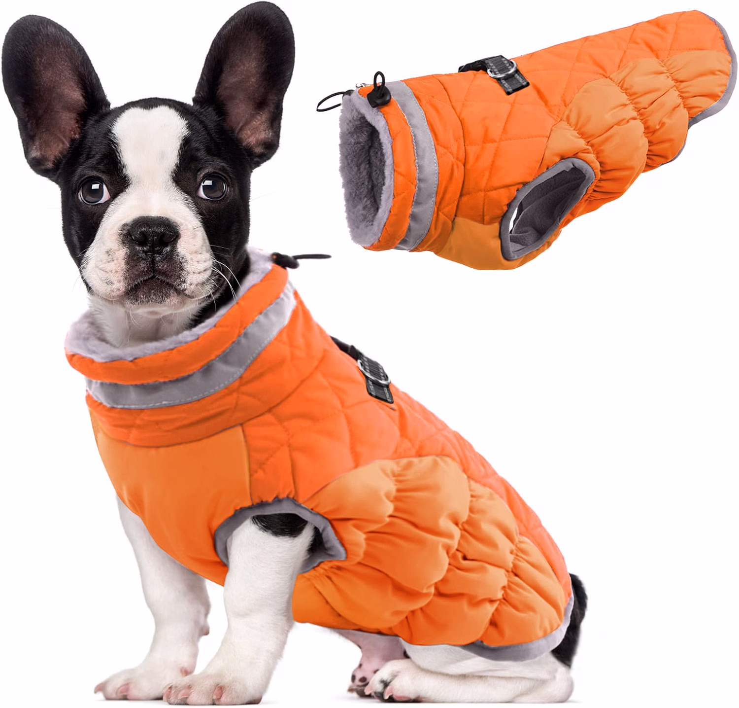 Manteau pour chien bande réfléchissante