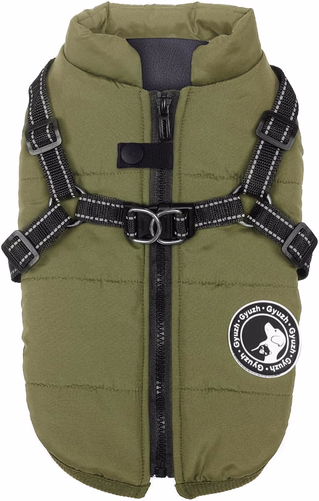 Manteau pour chien