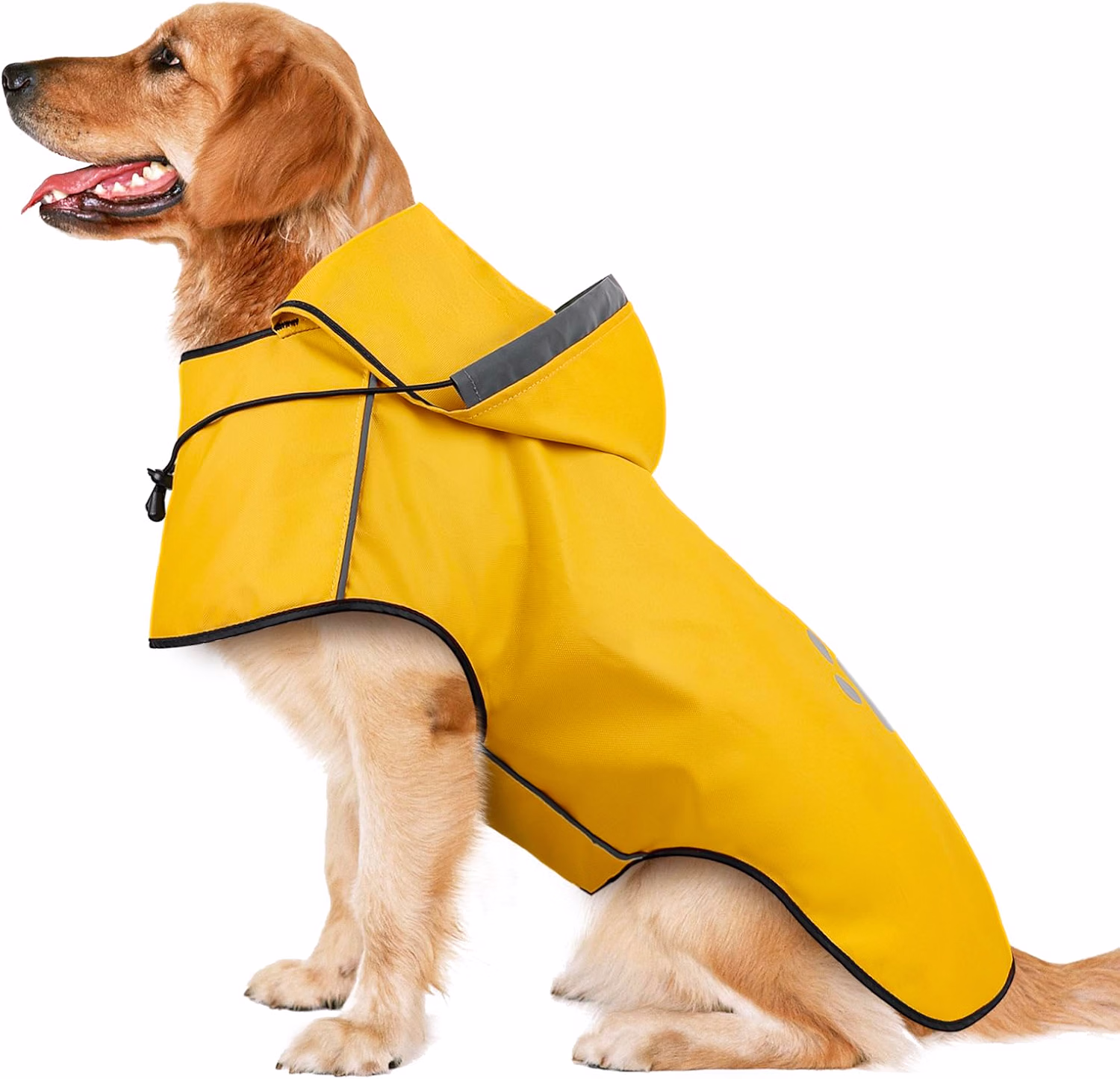 Imperméable pour chien