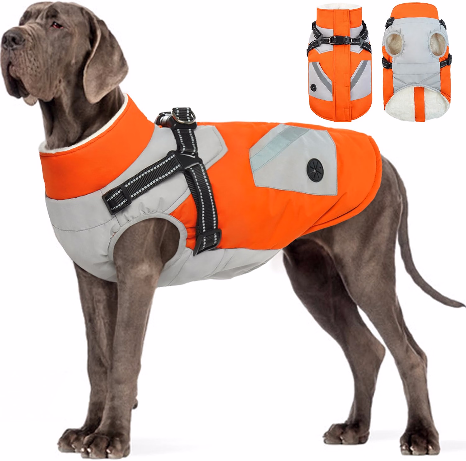 Manteau chien grande taille
