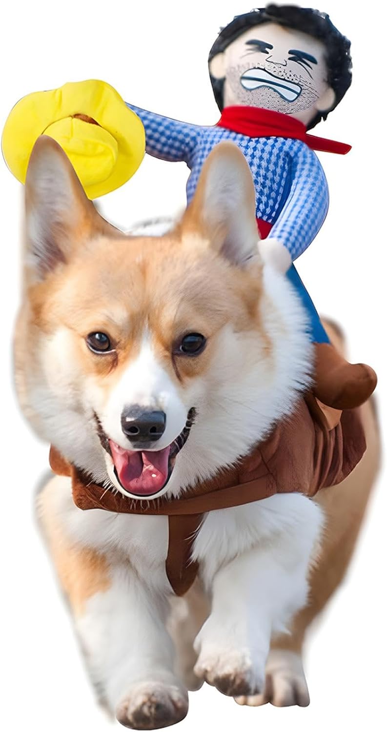 Costume Cowboy chien