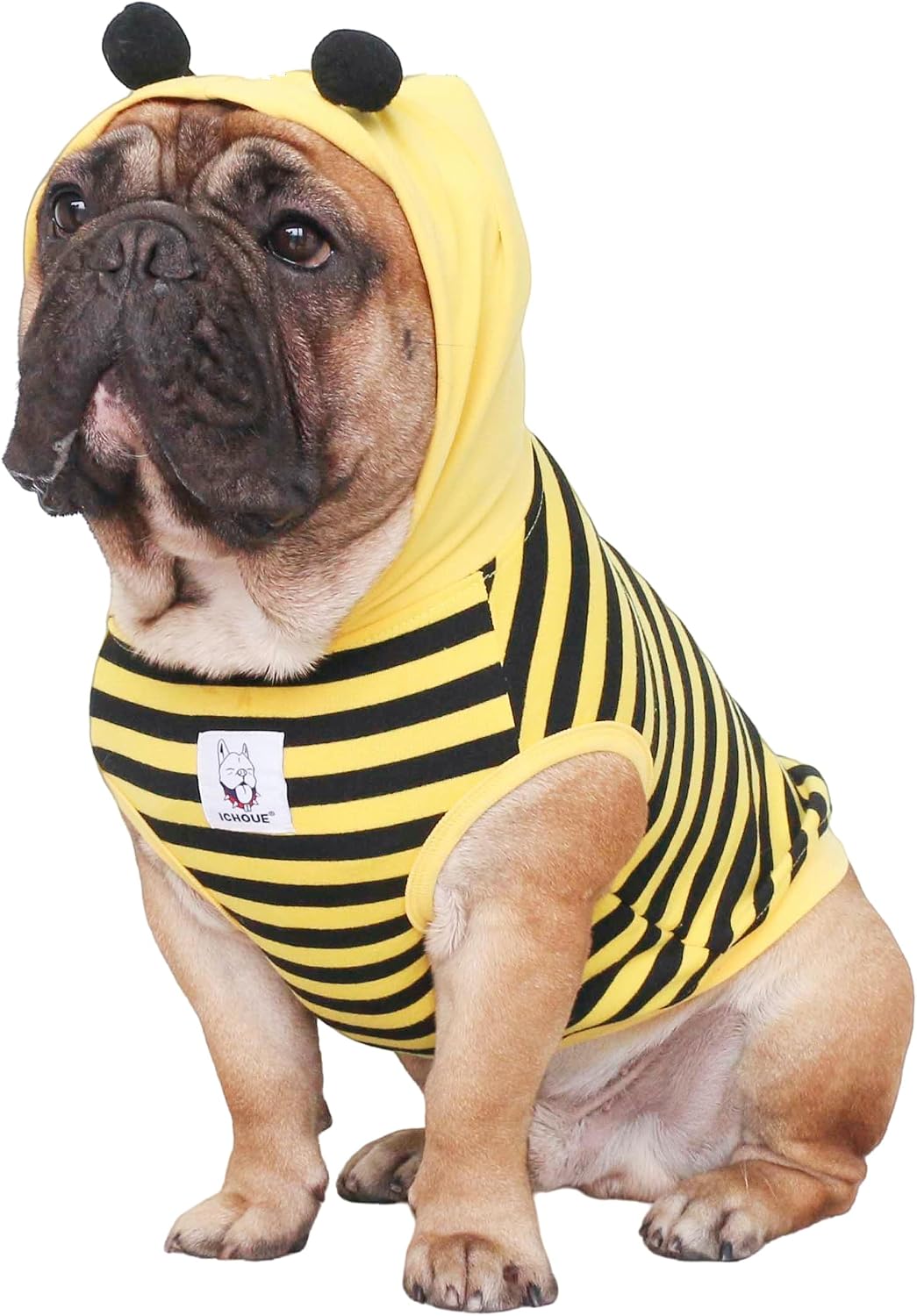 Costume abeille pour chien