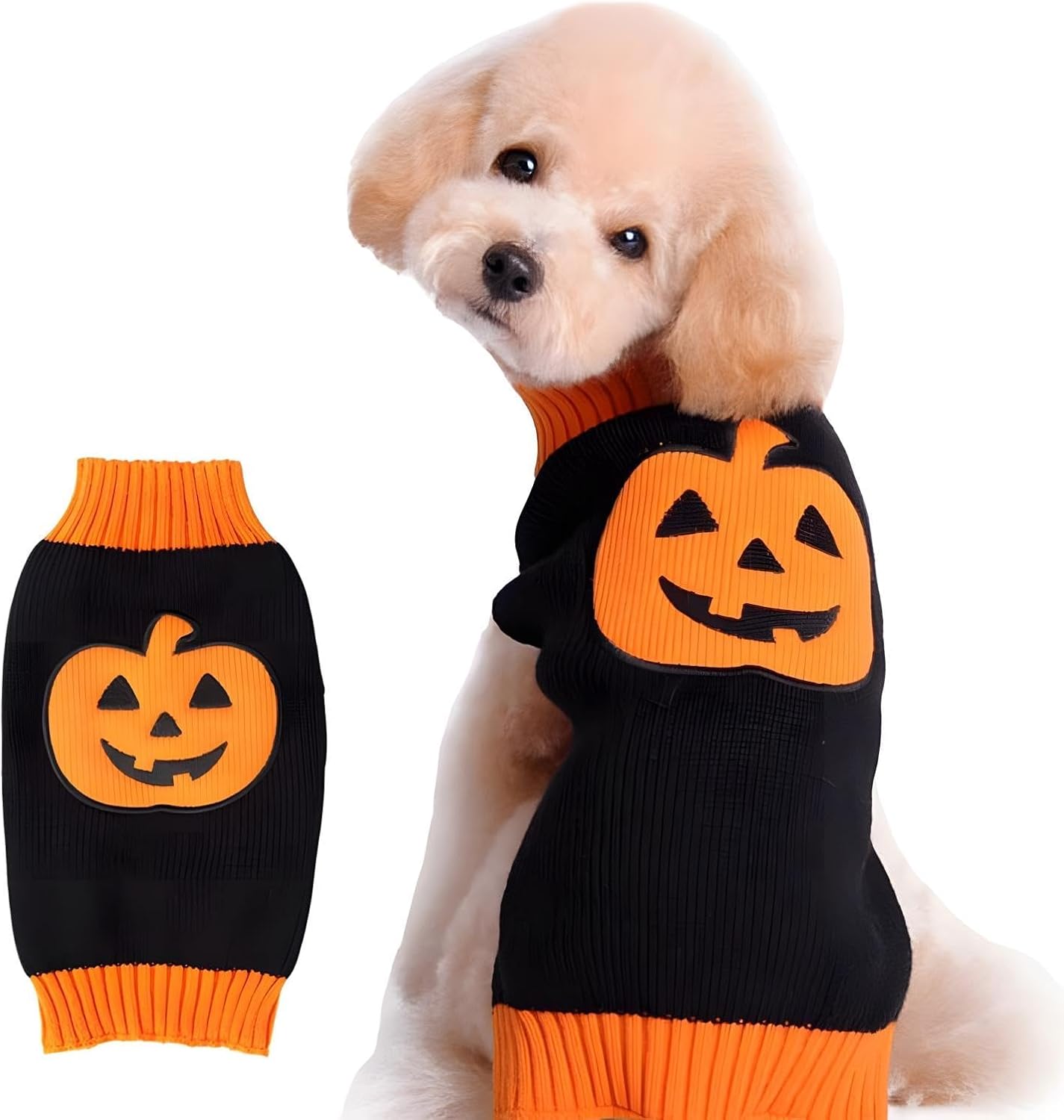 Costume citrouille chien