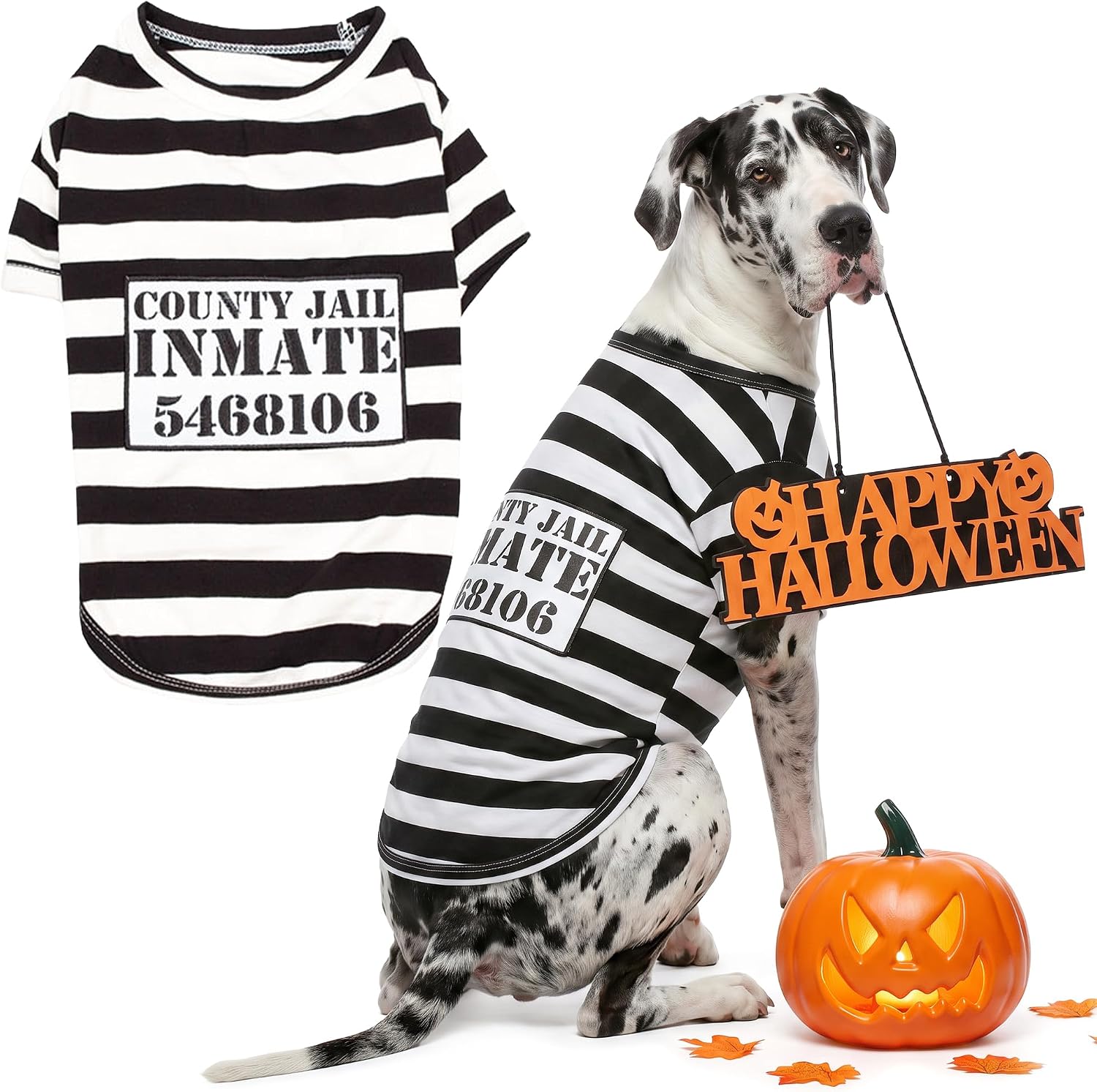 Costume pour chien de prisonnier