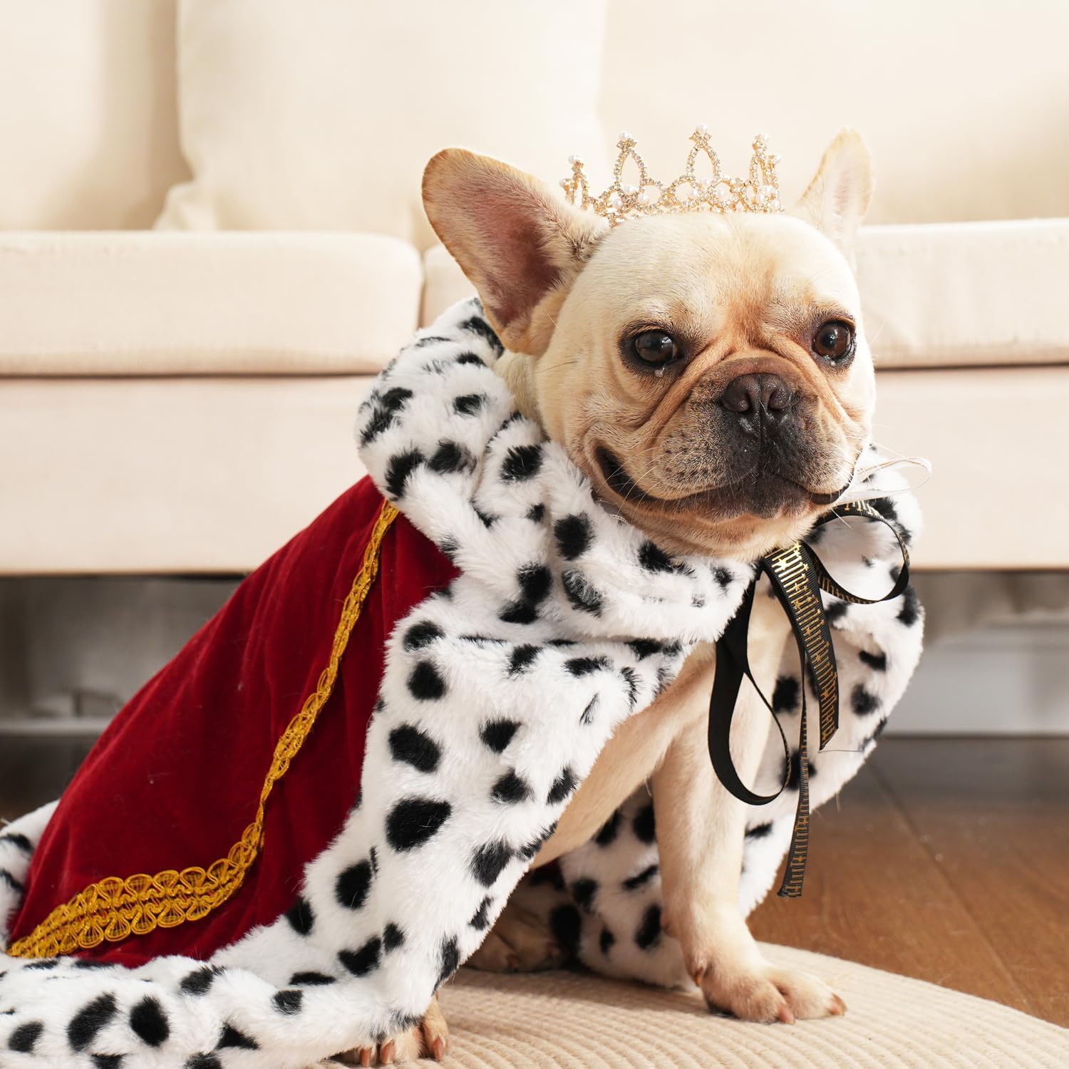 Costume roi reine pour chien