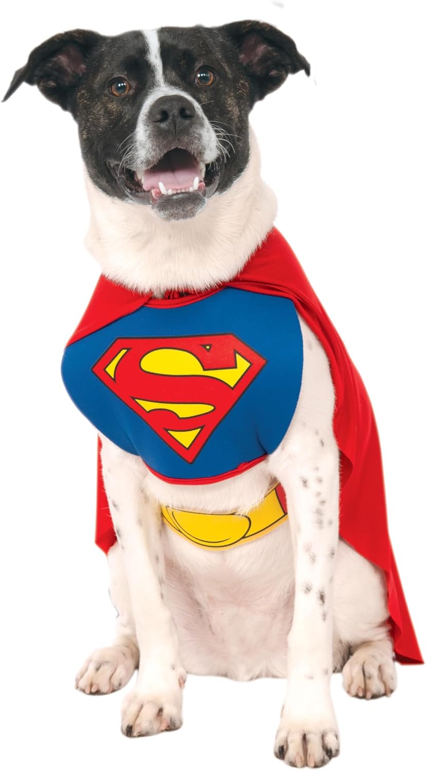 Costume de superman pour chien