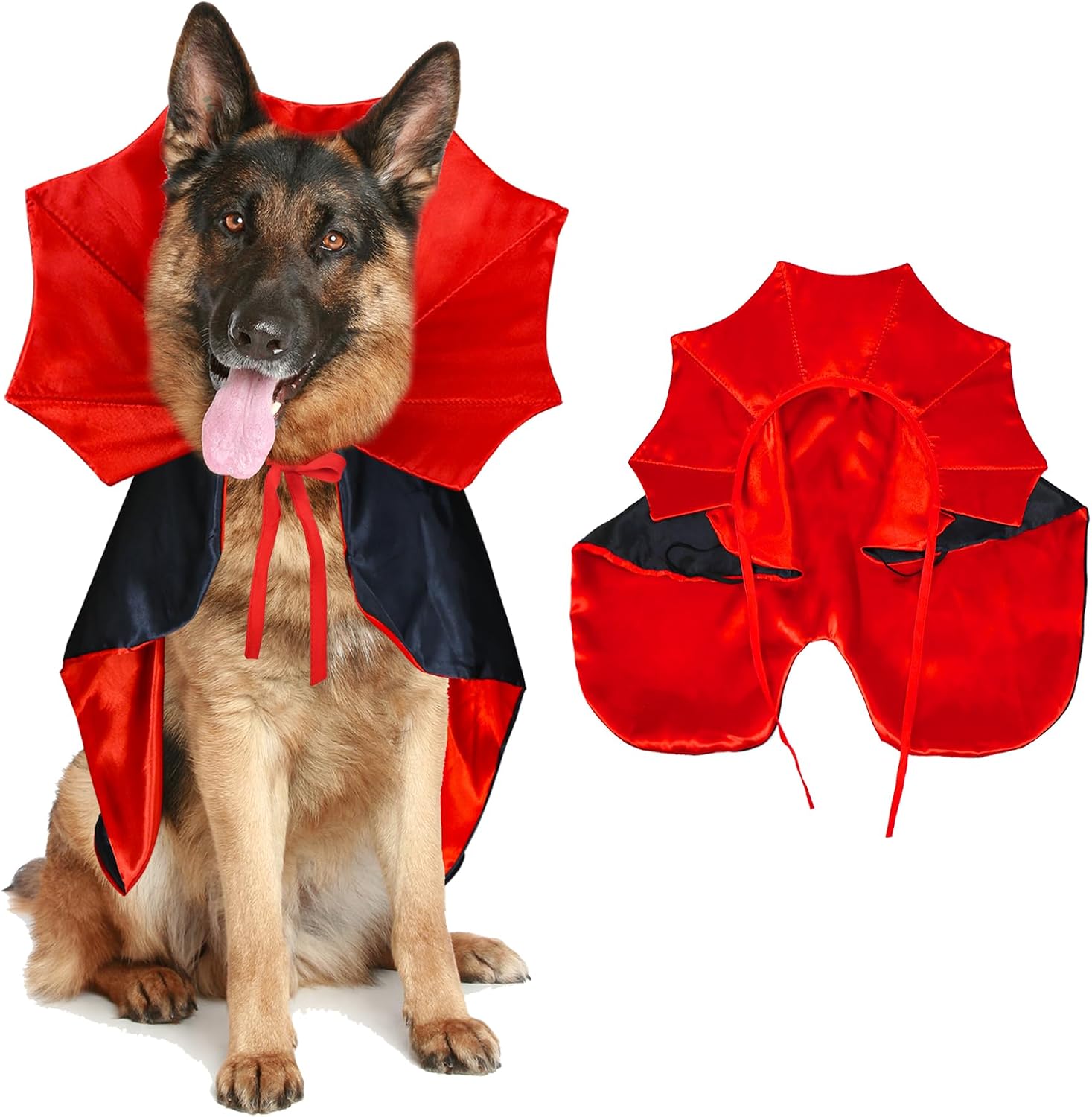 Costume vampire pour chien