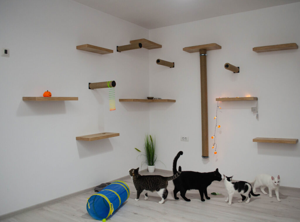 Arbres à chats muraux
